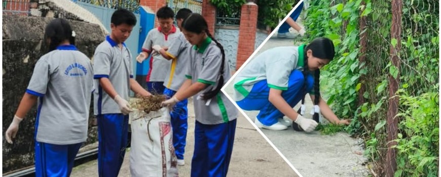 विश्व वातावरण दिवसको अवसरमा लोटस इङ्ग्लिस बोर्डिङ स्कुलद्वारा सरसफाइ कार्यक्रम सम्पन्न विश्व वातावरण दिवसको अवसरमा लोटस इङ्ग्लिस बोर्डिङ स्कुलद्वारा सरसफाइ कार्यक्रम सम्पन्न